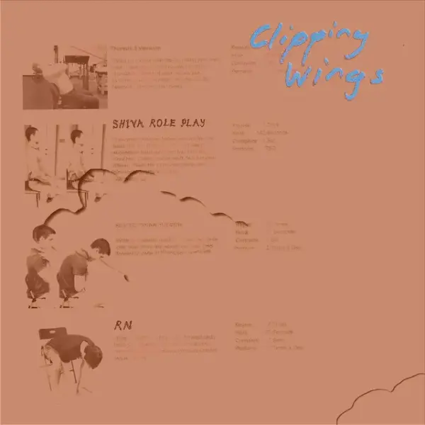 Clipping Wings